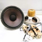 TANNOY Monitor Gold 15